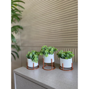 Kit 3 Vasos Cachepot Mini Decorativo Com Suporte e Plantas Artificiais Inclusas