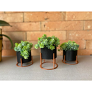 Kit 3 Vasos Cachepot Mini Decorativo Com Suporte e Plantas Artificiais Inclusas